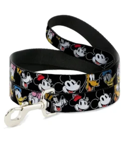 Buckle Down Pets Disney Sensational 6 4' Dog Leash