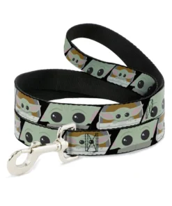 Buckle Down Pets Star Wars The Mandalorian The Child 4' Dog Leash