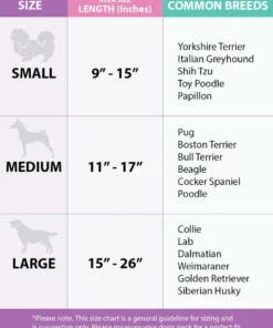 Buckle Down Pets Disney Minnie Mouse Dog Collar