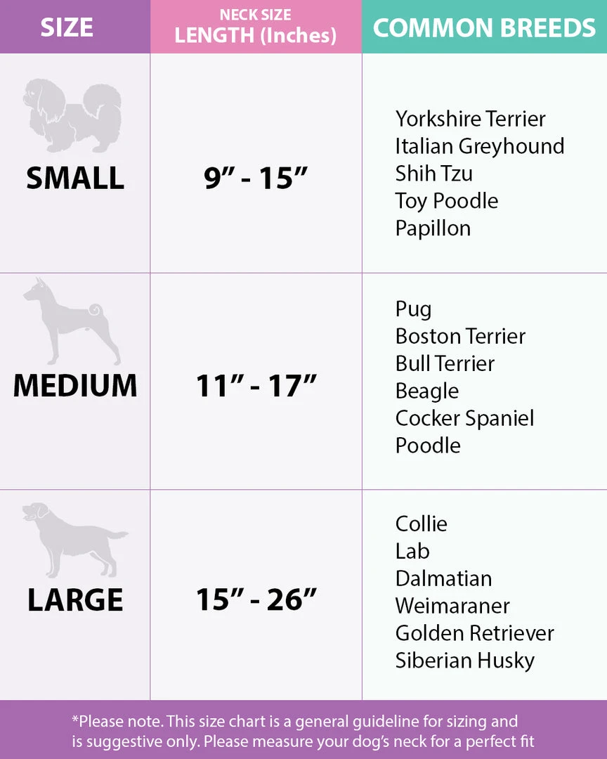 Buckle Down Pets Disney Sensational Six Dog Collar 4 Buckle Down Pets Disney Sensational Six Dog Collar