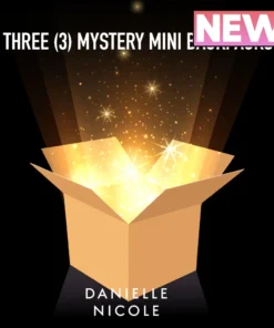 Danielle Nicole Exclusive Mystery Boxes Danielle Nicole Mini Backpack Mystery Box - Contains 3 Mini Backpacks.